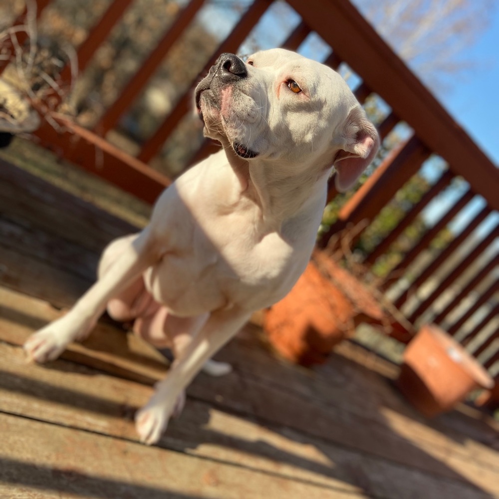 Meet your Posher, Skylar